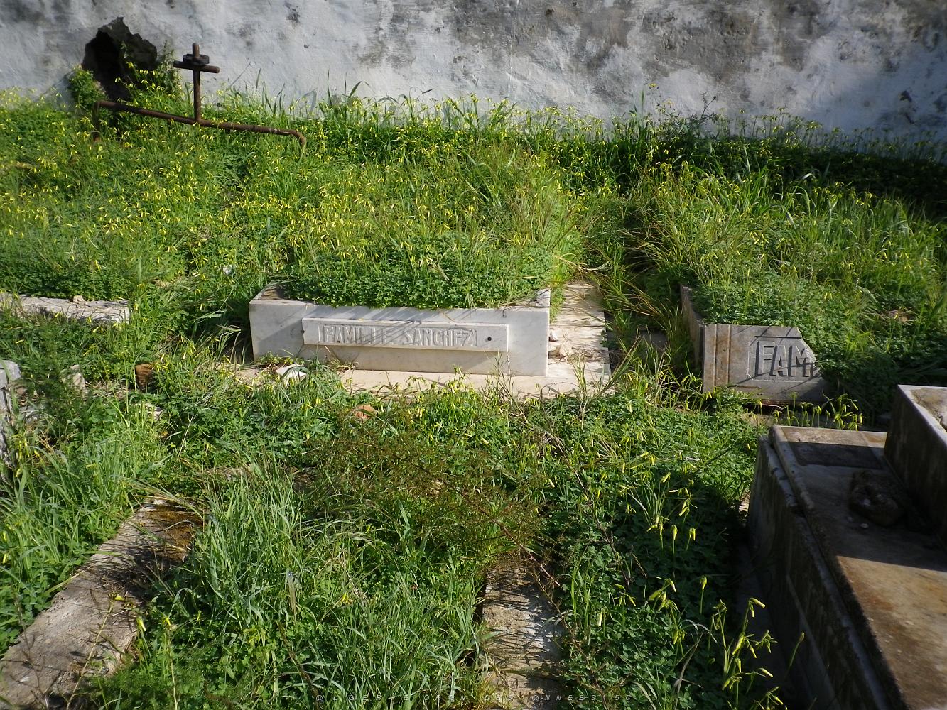 CIMETIERE DE TAMAZOUHET D ORAN EN MARS 2012  (54).JPG
